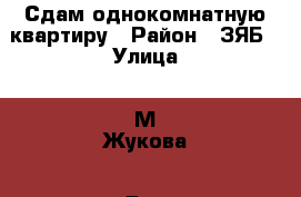 Сдам однокомнатную квартиру › Район ­ ЗЯБ › Улица ­ М Жукова › Дом ­ 17/20 › Этажность дома ­ 10 › Цена ­ 8 000 - Татарстан респ., Набережные Челны г. Недвижимость » Квартиры аренда   . Татарстан респ.